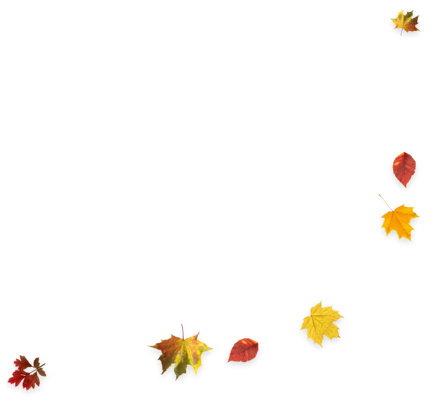autumn 2