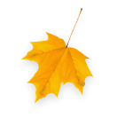 autumn right 1